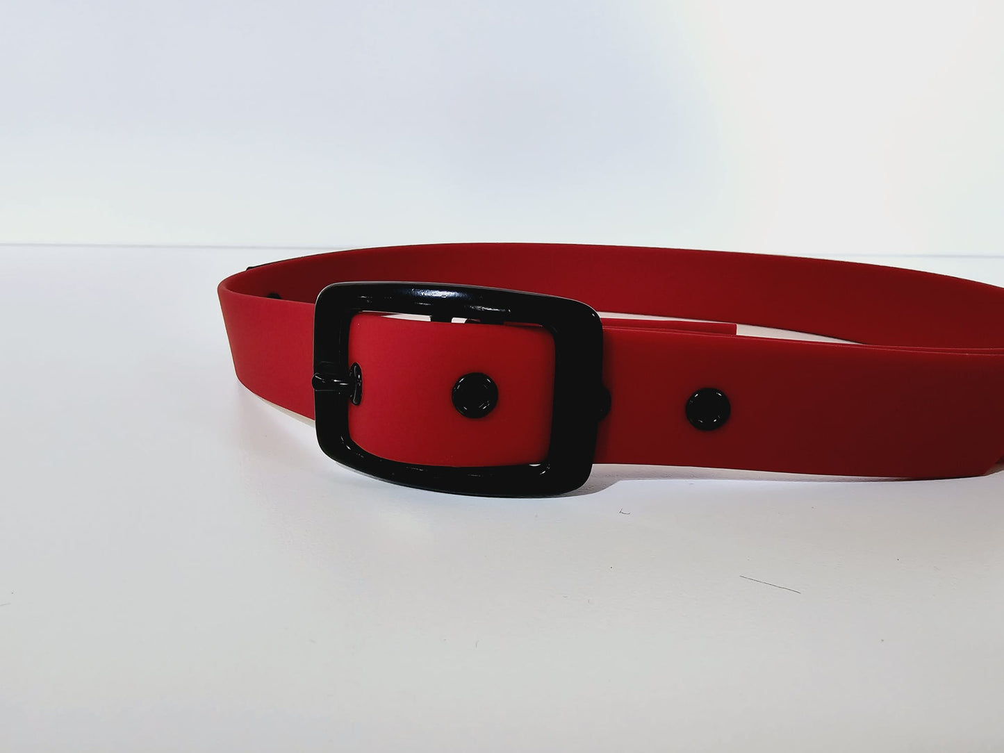 Halsband 25mm breit " Walking Dead "