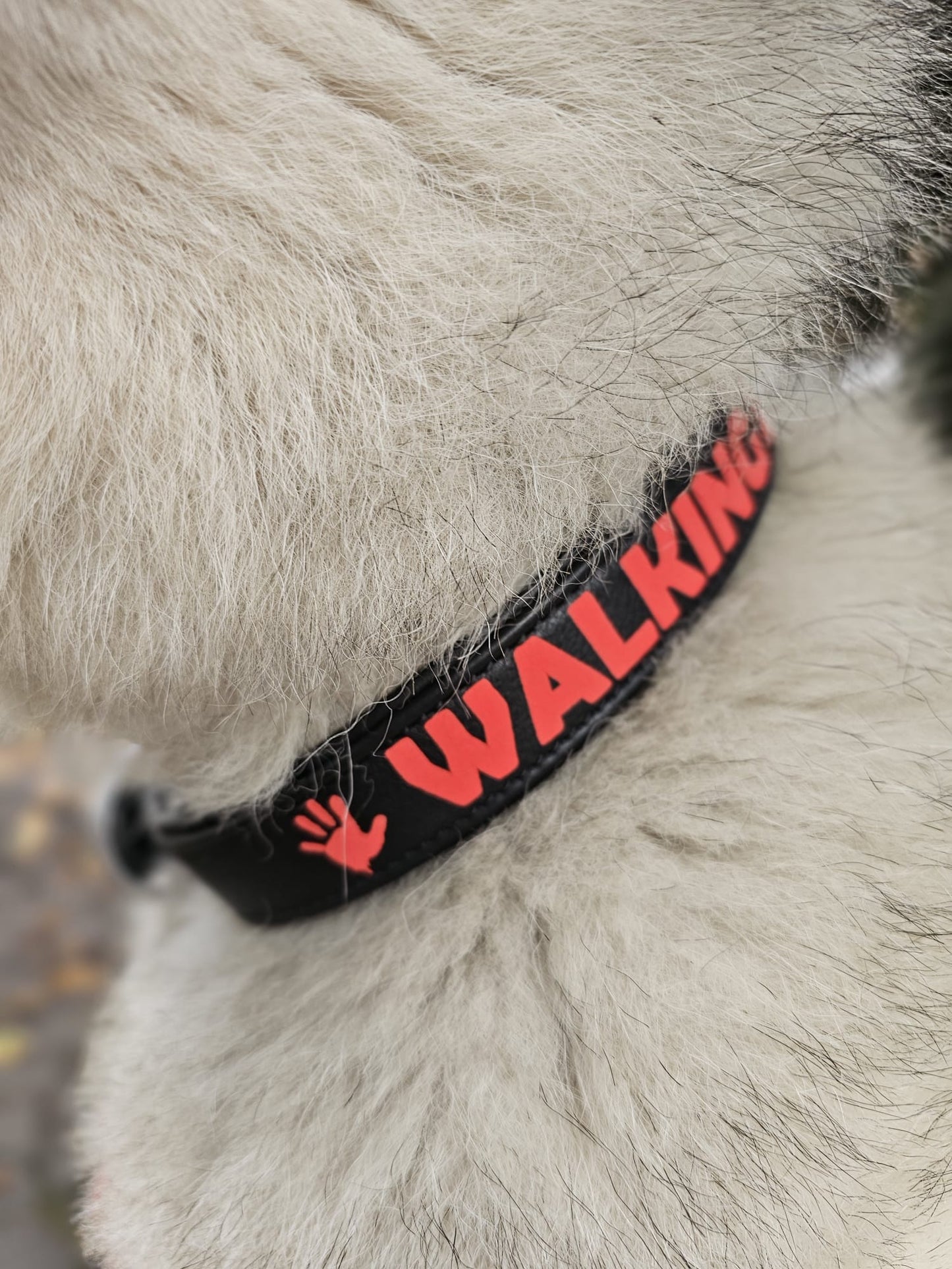 Halsband - Leder " Walking Dead "