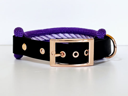 Tau Premium Halsband TRIO - Biothane Verschluss  Stück | 10mm / 25 mm | schwarz / lila / rose gold