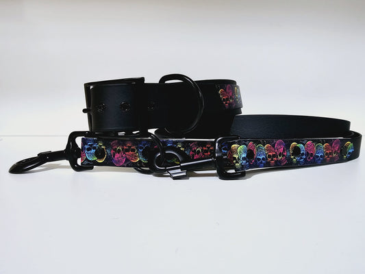Leine mit Halsband Biothane "colorful killer head"