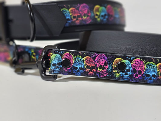 Langleine 2m black / head "colorful killer head"