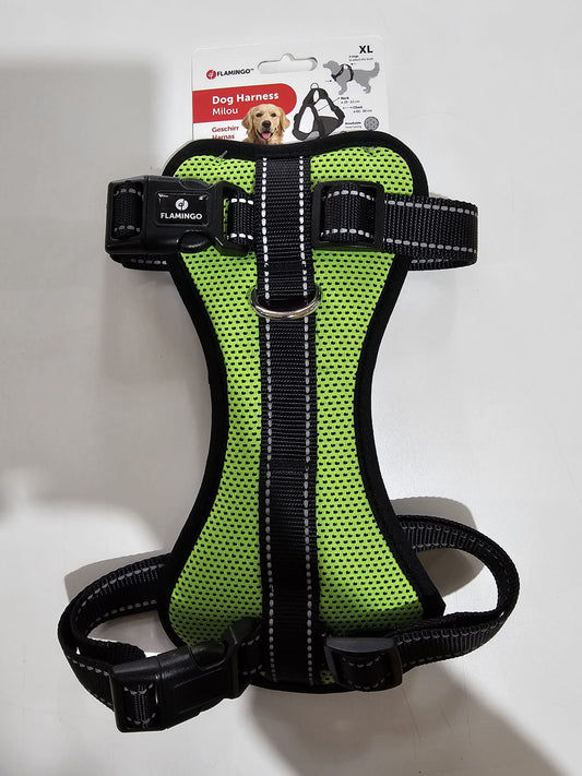 FLAMINGO Milou Geschirr