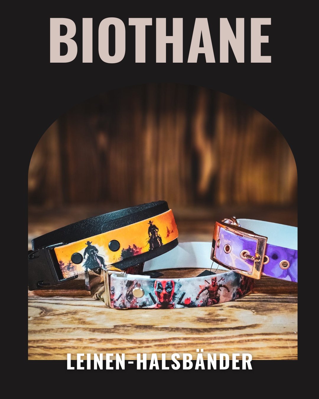 Leinen & Halsbänder Biothane