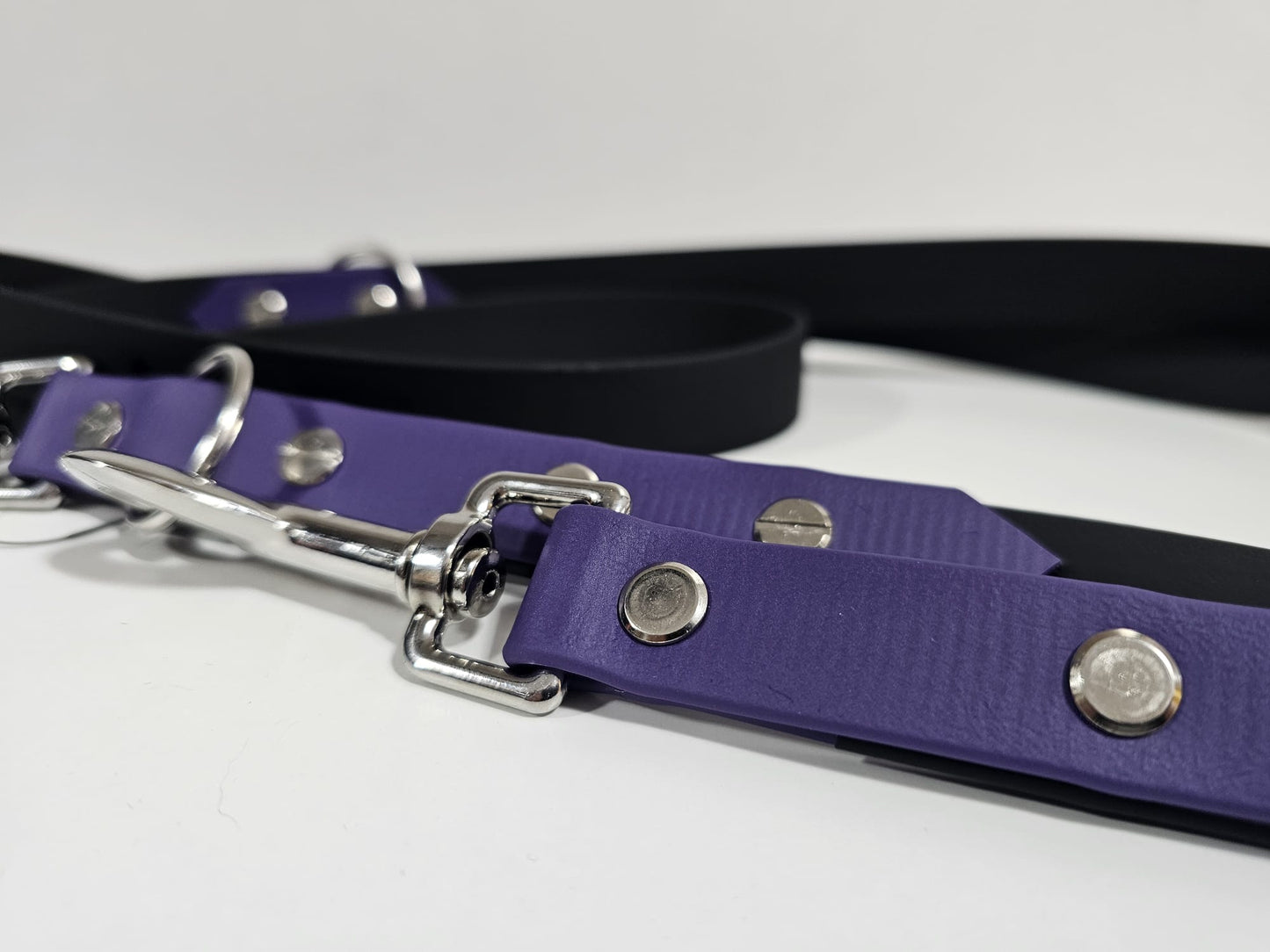 Doppelleine 2m black / violett "violett star"