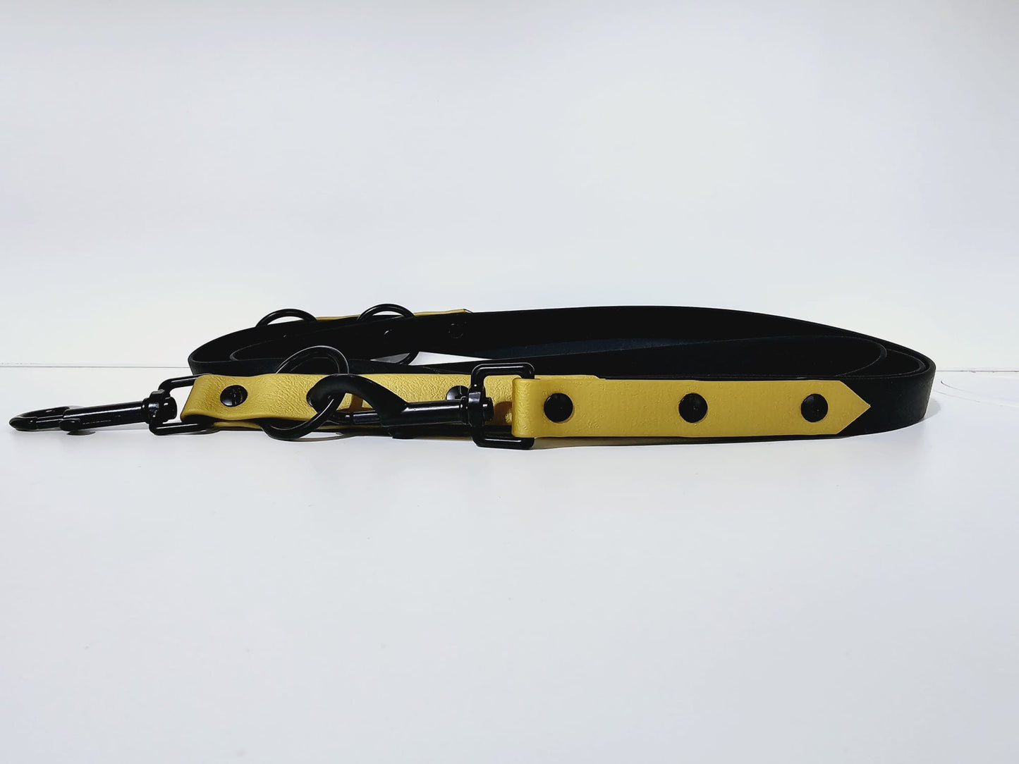 Doppelleine 2m black /  gold "dollar"